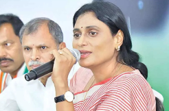 Sharmila set for humiliation Kadapa?