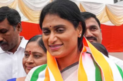 Kadapa MP Polls: Can Sharmila Get Half of Avinash's votes.