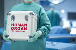 Organ donation in India: Women donate, men receive 