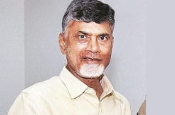 Chandrababu gets trolled for farcical stone attack 
