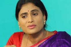 It's official! Sharmila owes Jagan Rs 100 crore