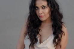 Glam Shot: Chandini Tamilarasan ups the hotness quotient